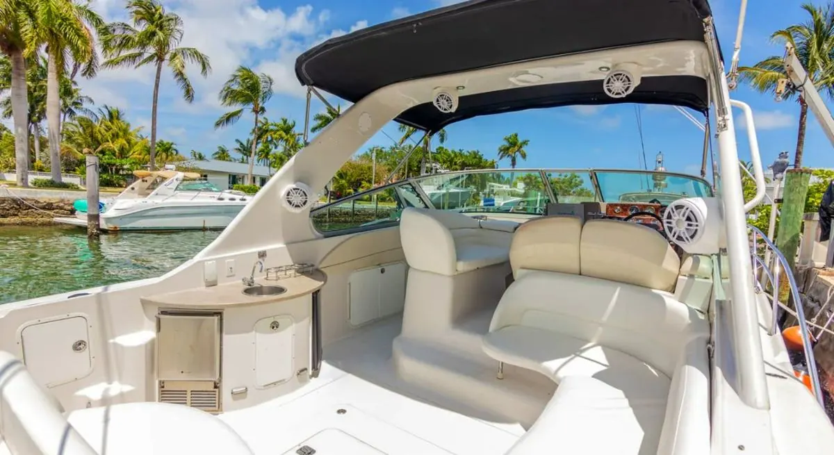 42' Day Cruiser, photo 3