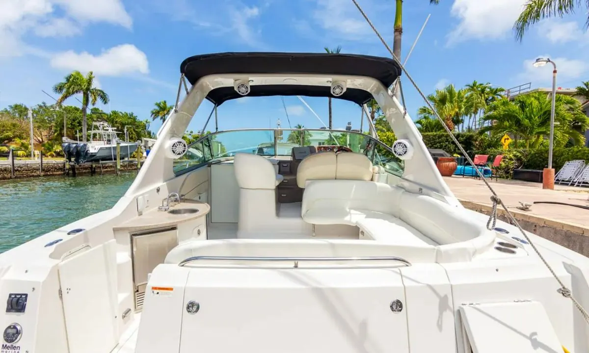 42' Day Cruiser, photo 5