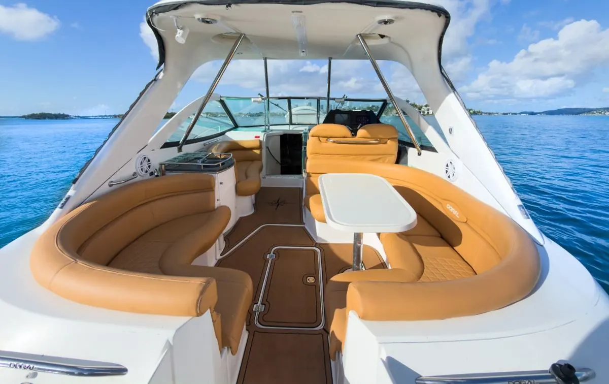 42' Day Cruiser, photo 5